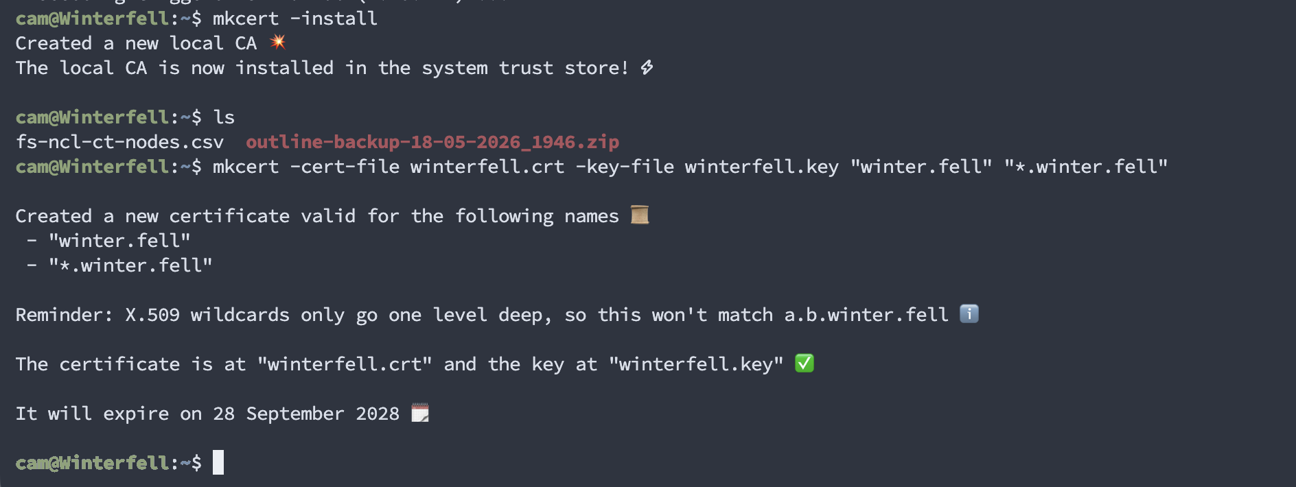 Terminal output from mkcert -install and generating winter.fell certificates