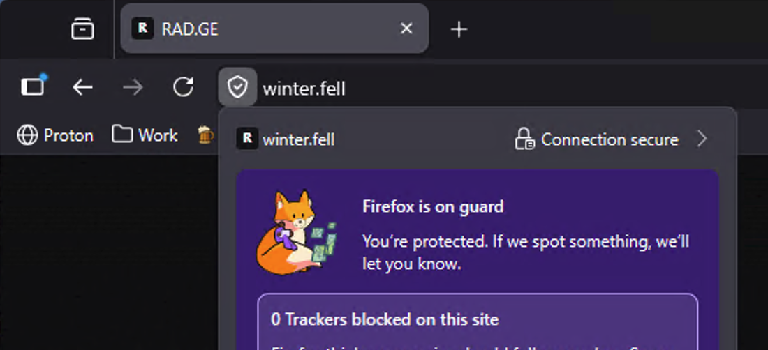 Browser showing a trusted connection after importing the local CA on Windows